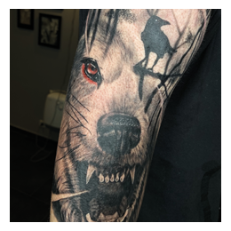 Ted Tattoo