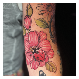 Ted Tattoo